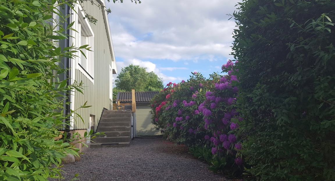 rhododendron vansovagen orby dyredand