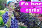 vanliga villan tanja dyredand edsbro norrtalje tradgard