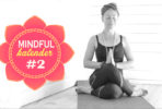 tanja-dyredand-kalender-2017-mindfulness