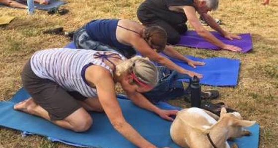 oregons_goat_yoga_now_has_a_600_person_waiting_list_m11