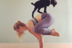 tiny-goat-is-the-cutest-yoga-partner-photos-7