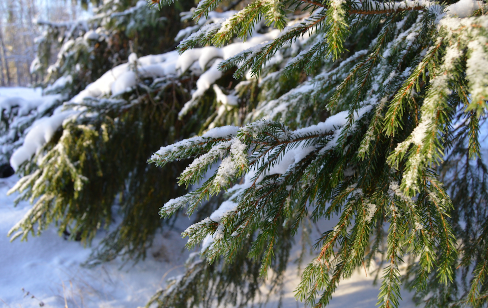 vinter-vanliga-villan