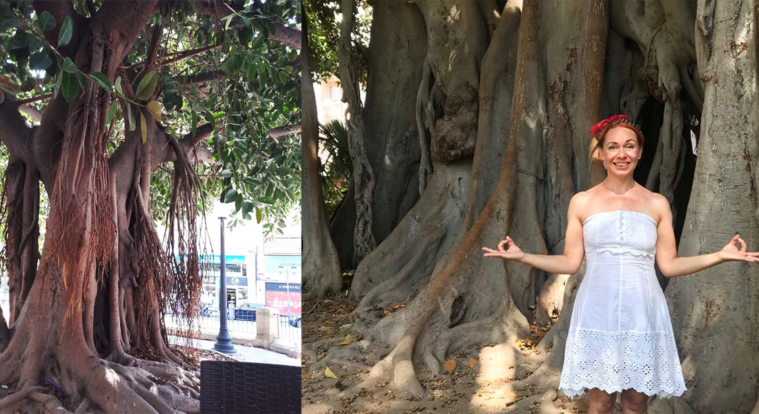 alicante-yoga-mindfulness-stresshantering-tanja-dyredand