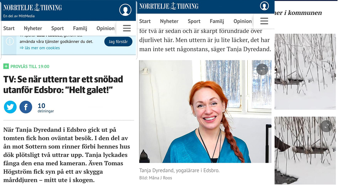norrteljetidning-utter-tanja-dyredand-2019